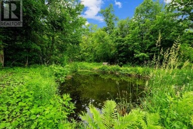 559 COUNTY ROAD 47 ROAD N Havelock-Belmont-Methuen (Belmont-Methuen) Ontario photo 9