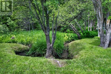 4796 THORNTON ROAD N Oshawa Ontario photo 36