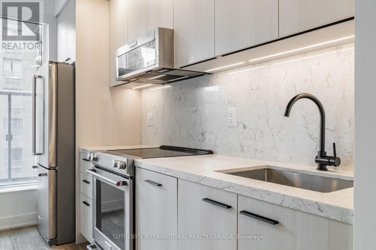 E0207 - 30 MUTUAL STREET, Toronto (Church-Yonge Corridor), Ontario, M5B2A7