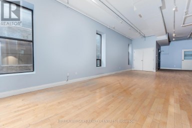 201 - 489 QUEEN STREET W Toronto (Waterfront Communities) Ontario photo 3