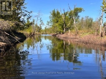 39B VARTY ROAD Tweed (Elzevir (Twp)) Ontario photo 4
