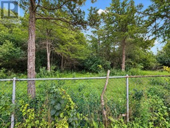 366 CANNIFTON ROAD N Belleville (Thurlow Ward) Ontario photo 31