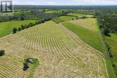 2650 COUNTY ROAD 13 Prince Edward County (South Marysburg Ward) Ontario photo 10