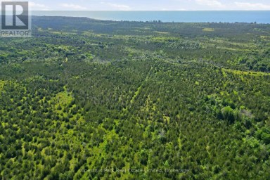 2650 COUNTY ROAD 13 Prince Edward County (South Marysburg Ward) Ontario photo 16