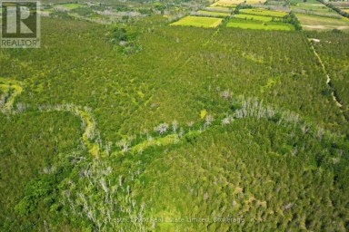 2650 COUNTY ROAD 13 Prince Edward County (South Marysburg Ward) Ontario photo 33