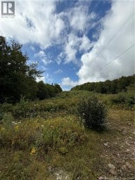 Camp & Lot Brittain Road Lower Greenwich New Brunswick photo 17