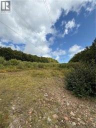 Camp & Lot Brittain Road Lower Greenwich New Brunswick photo 18