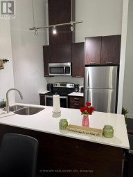 TH03 - 20 BRUYERES MEWS Toronto (Waterfront Communities) Ontario photo 23