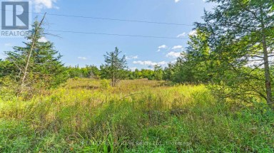 1321 CROWE RIVER ROAD N Trent Hills Ontario photo 11