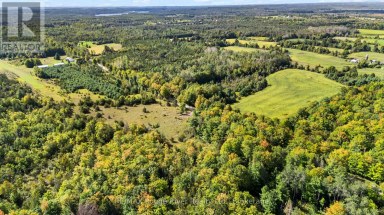 1321 CROWE RIVER ROAD N Trent Hills Ontario photo 12