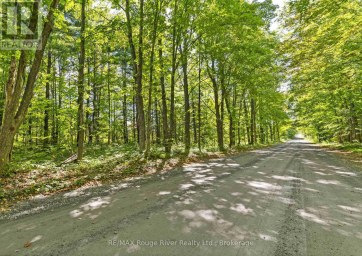 1321 CROWE RIVER ROAD N Trent Hills Ontario photo 13