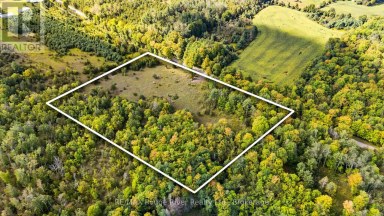 1321 CROWE RIVER ROAD N Trent Hills Ontario photo 2