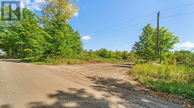 1321 CROWE RIVER ROAD N Trent Hills Ontario photo 3