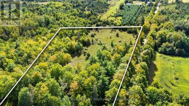1321 CROWE RIVER ROAD N Trent Hills Ontario photo 4