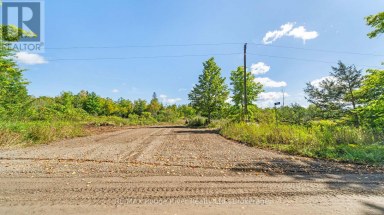 1321 CROWE RIVER ROAD N Trent Hills Ontario photo 5