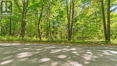 1321 CROWE RIVER ROAD N Trent Hills Ontario photo 6