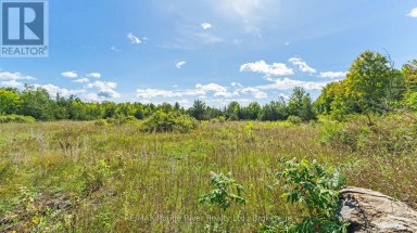 1321 CROWE RIVER ROAD N Trent Hills Ontario photo 8