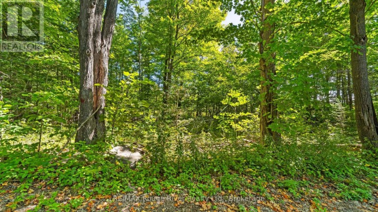 1321 CROWE RIVER ROAD N, Trent Hills, Ontario, K0L1L0