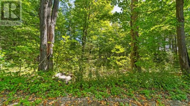1321 CROWE RIVER ROAD N Trent Hills Ontario photo 9