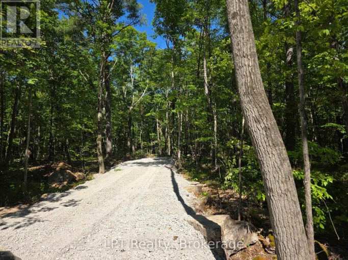38 MARBLE POINT ROAD, Marmora and Lake (Marmora Ward), Ontario, K0K2M0