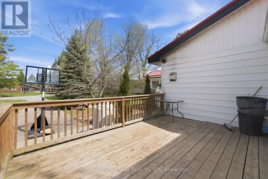 28 SOUTH BAYOU ROAD Kawartha Lakes (Verulam) Ontario photo 25