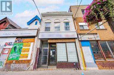 782 DUNDAS STREET W Toronto (Trinity-Bellwoods) Ontario photo 1
