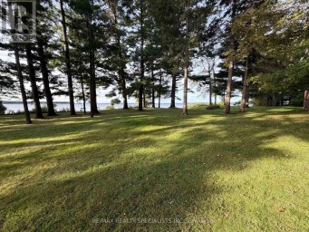 9 SHIELDS LANE Kawartha Lakes (Bexley) Ontario photo 44