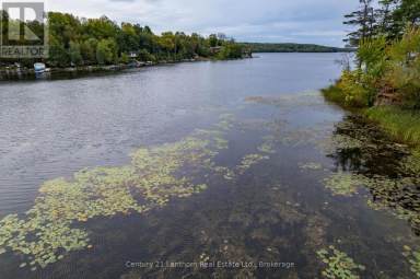 175 DONALDSON LANE Centre Hastings Ontario photo 8