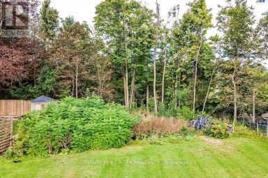 12B OTTAWAY AVENUE Barrie (Wellington) Ontario photo 3