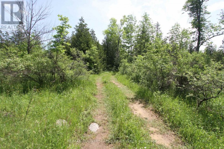 LT25 RAMBLEWOOD TRAIL, Kawartha Lakes (Bexley), Ontario, K0M2B0