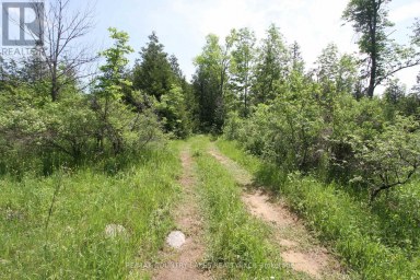LT25 RAMBLEWOOD TRAIL Kawartha Lakes (Bexley) Ontario photo 10
