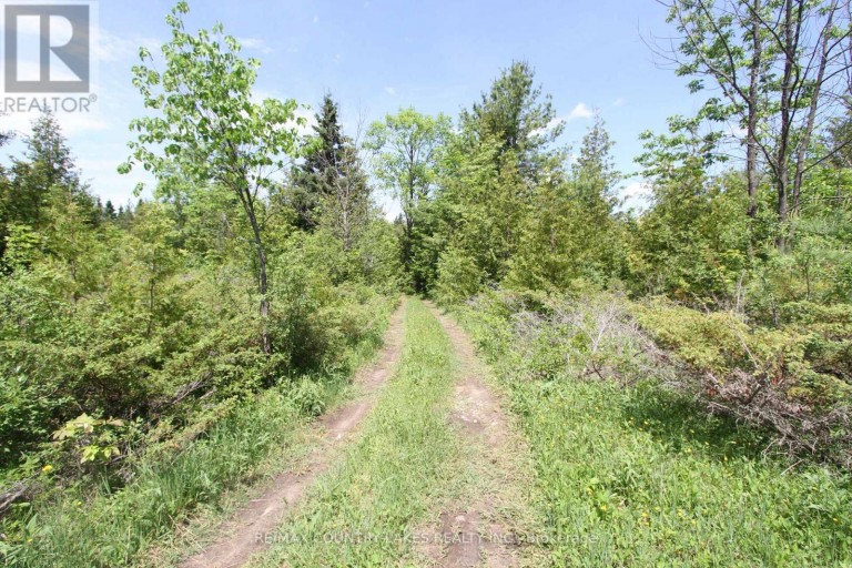 LT25 RAMBLEWOOD TRAIL, Kawartha Lakes (Bexley), Ontario, K0M2B0