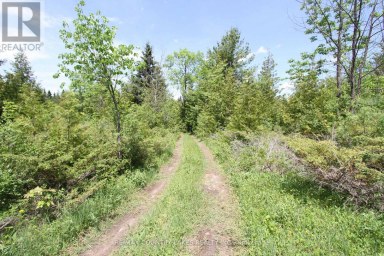 LT25 RAMBLEWOOD TRAIL Kawartha Lakes (Bexley) Ontario photo 12