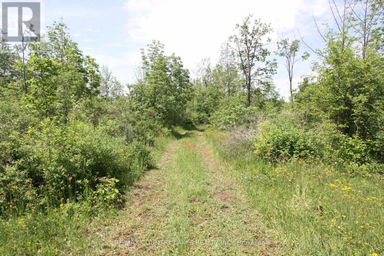 LT25 RAMBLEWOOD TRAIL, Kawartha Lakes (Bexley), Ontario, K0M2B0