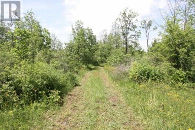 LT25 RAMBLEWOOD TRAIL Kawartha Lakes (Bexley) Ontario photo 14