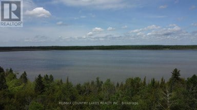 LT25 RAMBLEWOOD TRAIL Kawartha Lakes (Bexley) Ontario photo 16