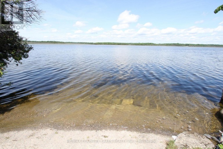 LT25 RAMBLEWOOD TRAIL, Kawartha Lakes (Bexley), Ontario, K0M2B0