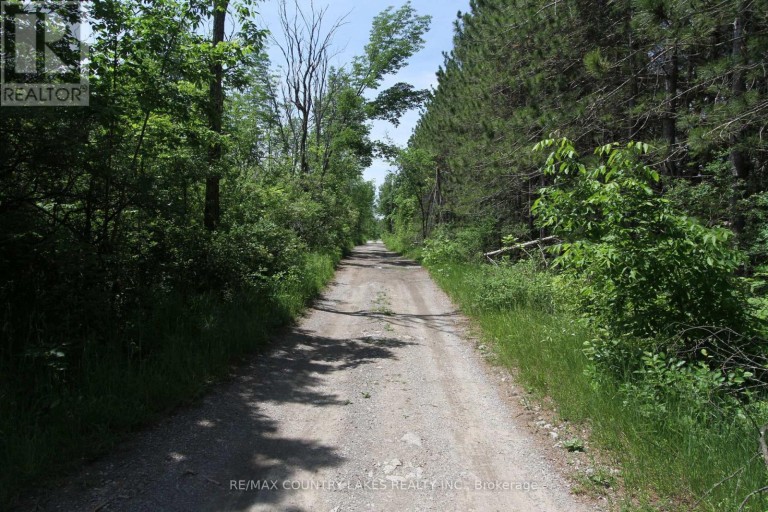 LT25 RAMBLEWOOD TRAIL, Kawartha Lakes (Bexley), Ontario, K0M2B0