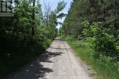 LT25 RAMBLEWOOD TRAIL Kawartha Lakes (Bexley) Ontario photo 23