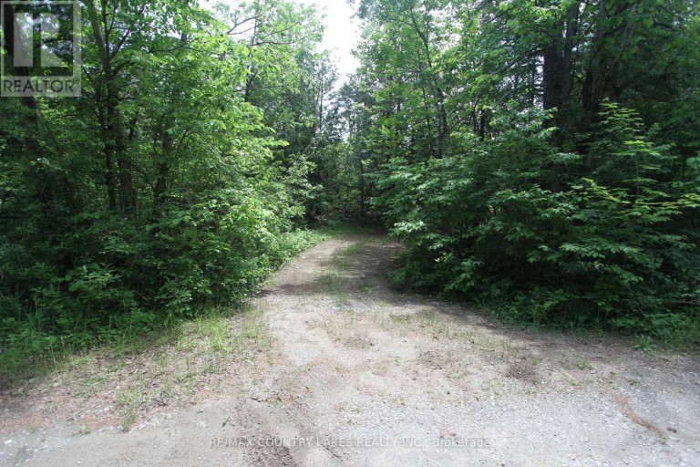 LT25 RAMBLEWOOD TRAIL, Kawartha Lakes (Bexley), Ontario, K0M2B0