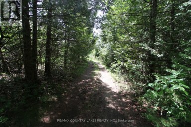 LT25 RAMBLEWOOD TRAIL Kawartha Lakes (Bexley) Ontario photo 25
