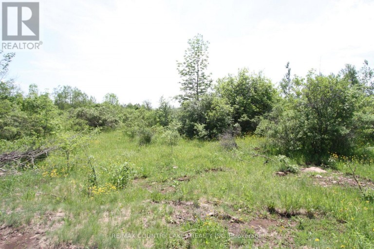 LT25 RAMBLEWOOD TRAIL, Kawartha Lakes (Bexley), Ontario, K0M2B0