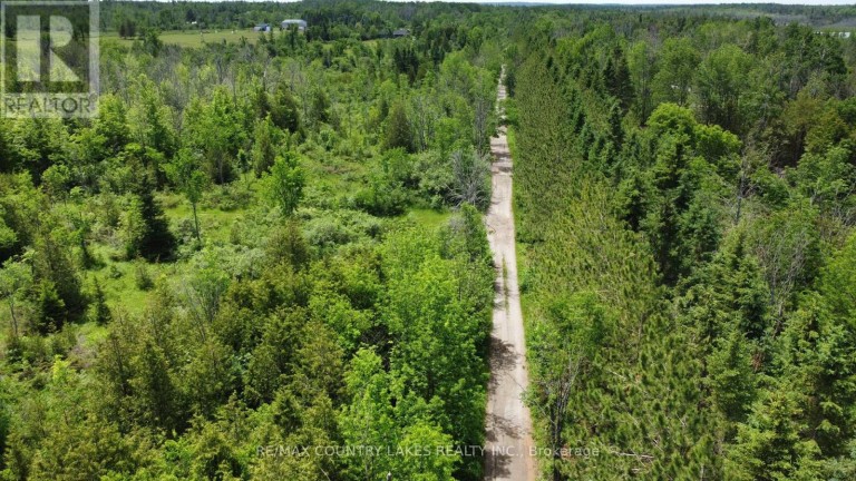 LT25 RAMBLEWOOD TRAIL, Kawartha Lakes (Bexley), Ontario, K0M2B0