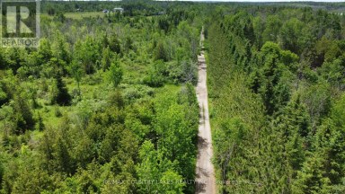 LT25 RAMBLEWOOD TRAIL Kawartha Lakes (Bexley) Ontario photo 9