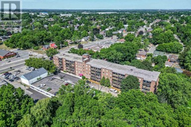 508 - 793 COLBORNE STREET E Brantford Ontario photo 1