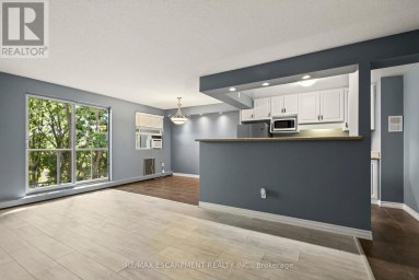 508 - 793 COLBORNE STREET E Brantford Ontario photo 4