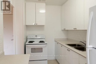 310 - 1017 SENECA AVENUE Mississauga (Port Credit) Ontario photo 11