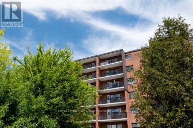 310 - 1017 SENECA AVENUE Mississauga (Port Credit) Ontario photo 4