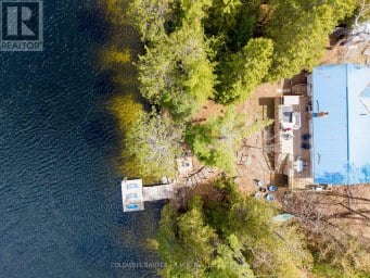 63 LITTLE SILVER LAKE WAY Trent Lakes Ontario photo 41