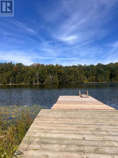 117 FIRE ROUTE 396 ROUTE, Trent Lakes, Ontario, K0M2A0